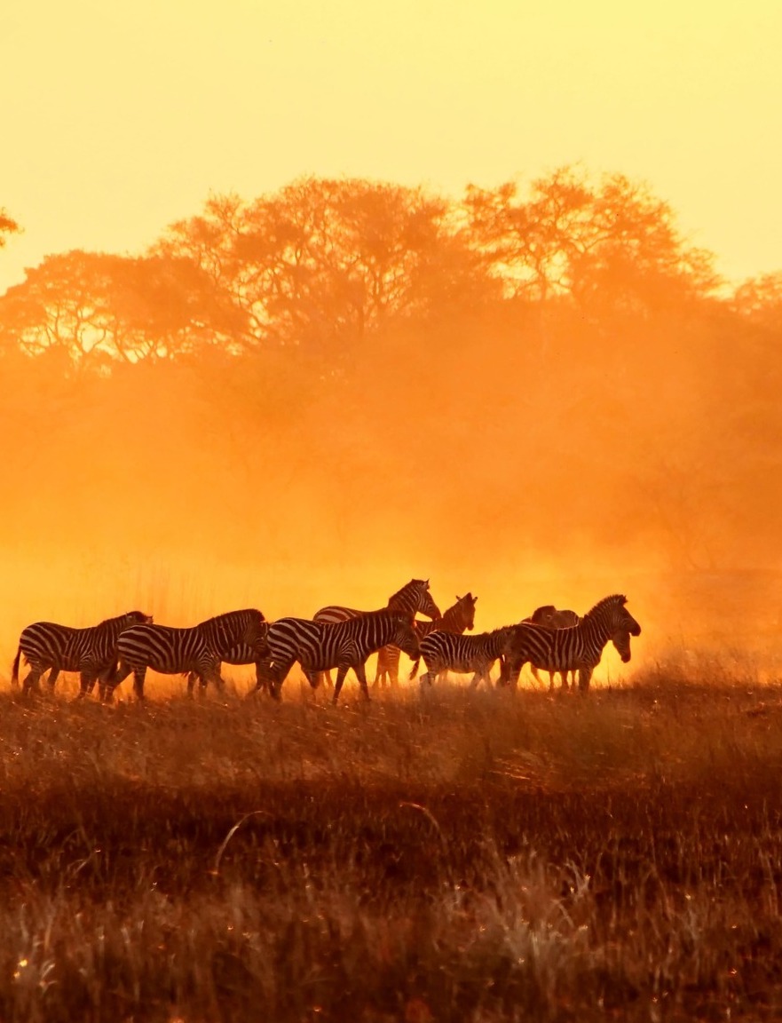 Kafue National Park